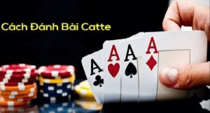 Các quy luật cơ bản trong bài Catte